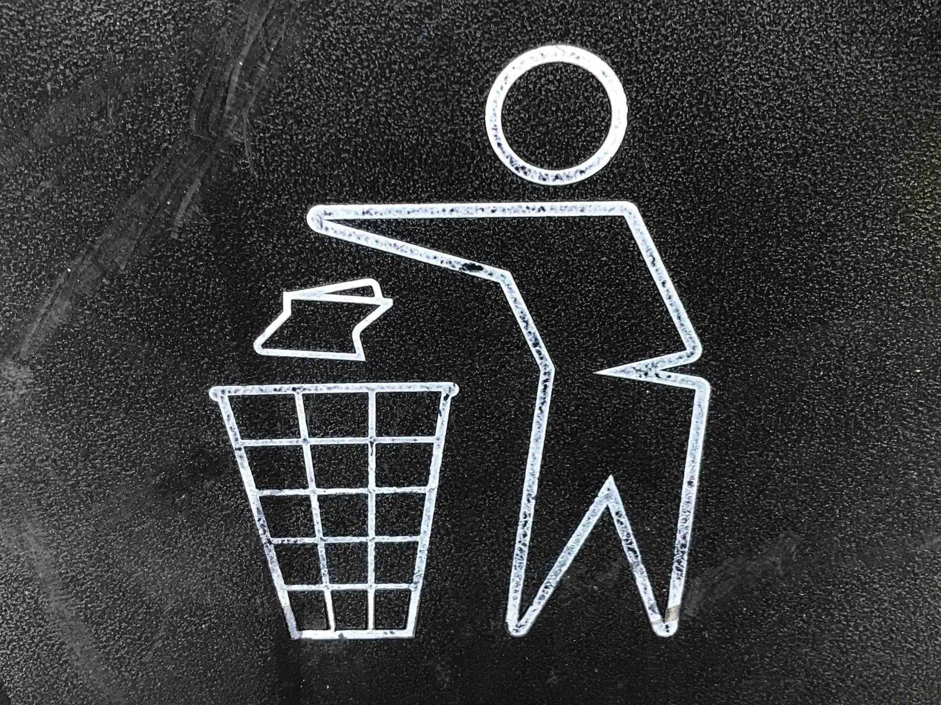 Eco-Friendly Waste Management: The Role of Skips